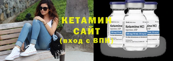 хмурый Пересвет
