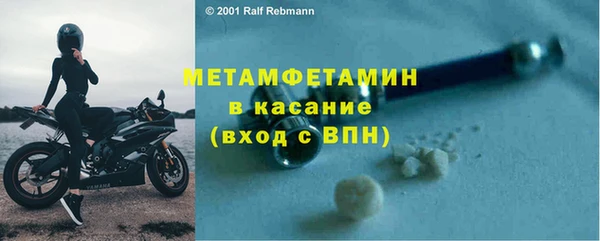 хмурый Пересвет