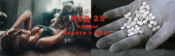 ГАЛЛЮЦИНОГЕННЫЕ ГРИБЫ Осташков