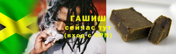 хмурый Пересвет