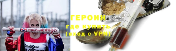 хмурый Пересвет