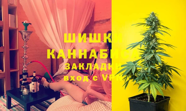 ГАЛЛЮЦИНОГЕННЫЕ ГРИБЫ Осташков