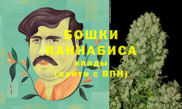 хмурый Пересвет