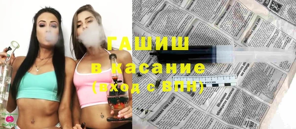 хмурый Пересвет