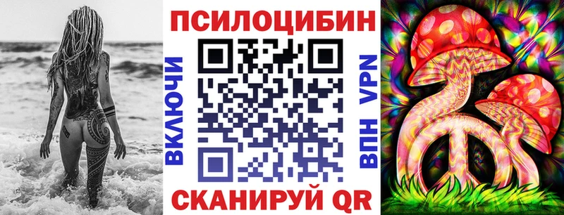 где можно купить   мега ТОР  Галлюциногенные грибы Psilocybine cubensis  Семилуки 
