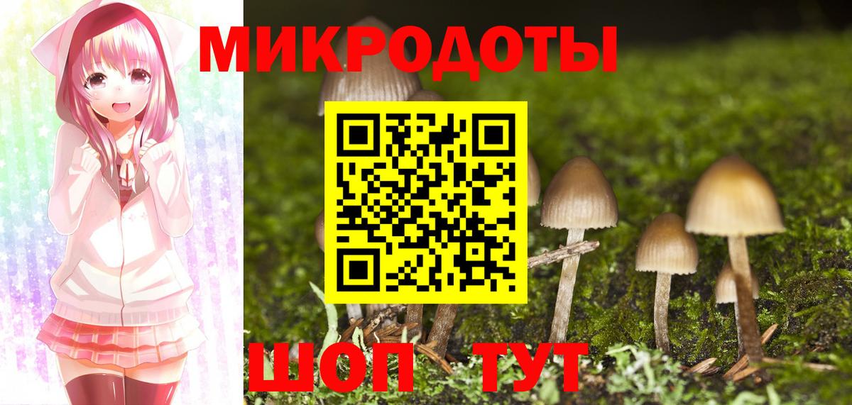 Галлюциногенные грибы Cubensis Семилуки