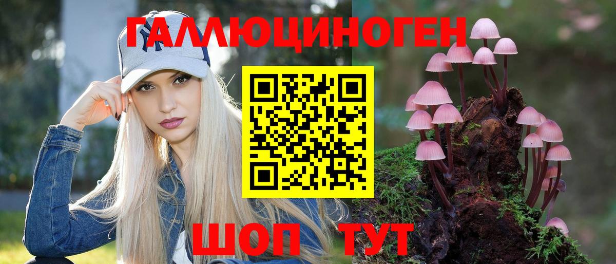 Семилуки  Псилоцибиновые грибы прущие грибы  Вход с VPN  Галлюциногенные грибы прущие грибы 